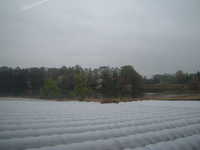  dscf0181.jpg 