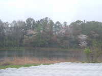  dscf0182.jpg 