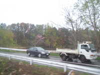  dscf0183.jpg 