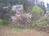  dscf0184.jpg 