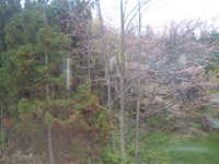  dscf0185.jpg 