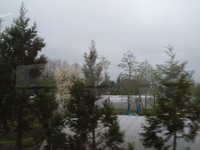  dscf0188.jpg 