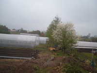  dscf0189.jpg 