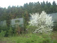  dscf0191.jpg 