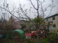  dscf0192.jpg 