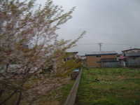  dscf0194.jpg 