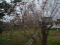  dscf0195.jpg 
