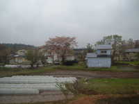  dscf0197.jpg 
