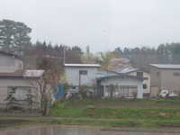  dscf0198.jpg 