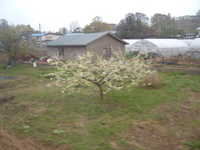  dscf0203.jpg 