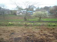  dscf0204.jpg 