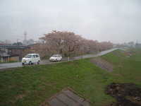  dscf0207.jpg 