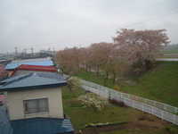  dscf0208.jpg 