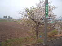  dscf0212.jpg 