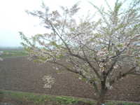  dscf0213.jpg 