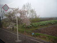  dscf0214.jpg 