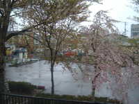  dscf0217.jpg 
