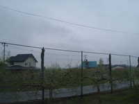 dscf0230.jpg 