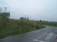  dscf0231.jpg 