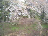  dscf0233.jpg 