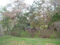  dscf0235.jpg 