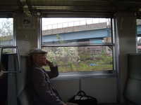  dscf0237.jpg 
