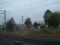  dscf0238.jpg 