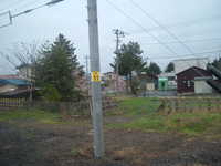  dscf0247.jpg 
