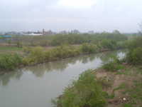  dscf0250.jpg 