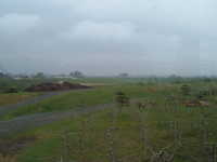  dscf0252.jpg 
