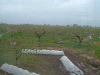  dscf0254.jpg 