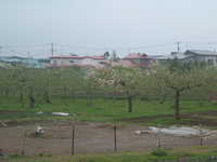  dscf0256.jpg 