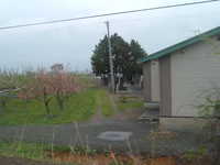  dscf0258.jpg 