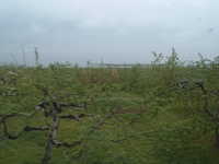  dscf0259.jpg 