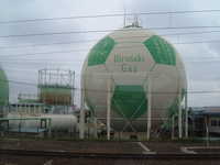  dscf0305.jpg 