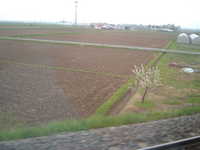  dscf0307.jpg 