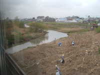  dscf0319.jpg 