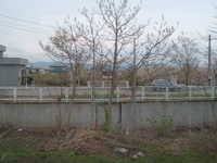  dscf0346.jpg 