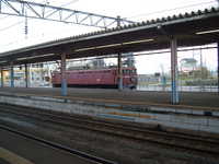  dscf0391.jpg 