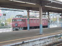  dscf0393.jpg 