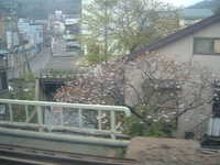  dscf0428.jpg 
