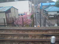  dscf0429.jpg 