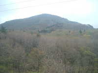  dscf0439.jpg 