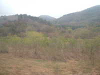  dscf0440.jpg 