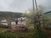 dscf0442.jpg 