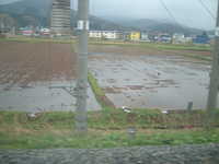  dscf0446.jpg 