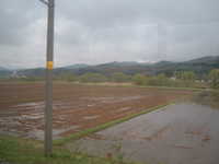  dscf0448.jpg 