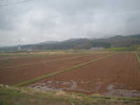  dscf0449.jpg 