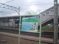  dscf0454.jpg 