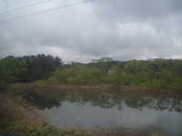  dscf0460.jpg 